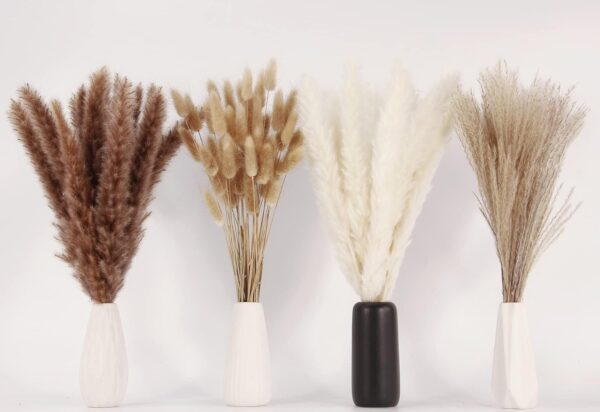 Decor, 100 Stems Pampas Grass Contains Bunny Tails Dried Flowers, Reed Grass Bouquet for Wedding Boho Flowers Home Table Decor