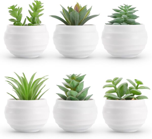 Rose Set of 6 Succulents Plants Artificial in Pots Small Fake Plants for Bedroom