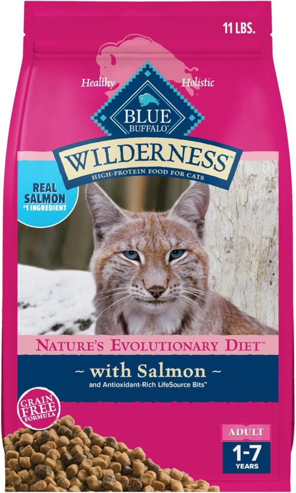 Grain Free Salmon Dry Food for Adult Cats 11 lbs.