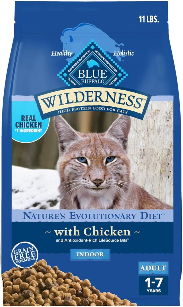 Natural Dry Food for Adult Cats, Chicken, 11-lb. Bag