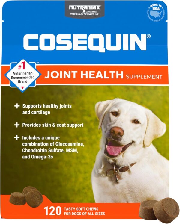 Health Supplement for Dogs - With Glucosamine, Chondroitin, MSM,