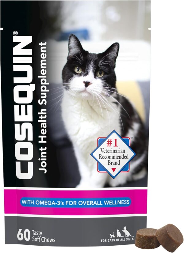 Health Supplement for Cats