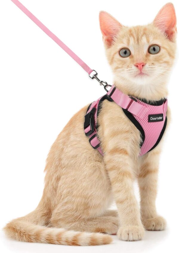 Cat Harness and Leash Set, Escape Proof Safe Adjustable Kitten Vest